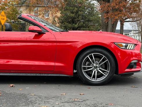 Used 2017 Ford Mustang Premium image 6