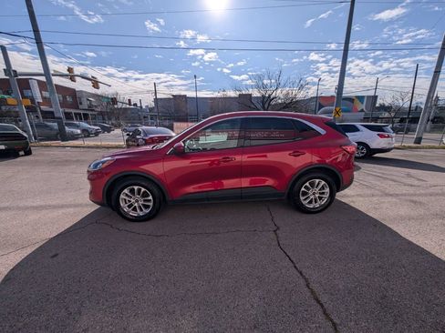 Used 2020 Ford Escape SE FWD image 9