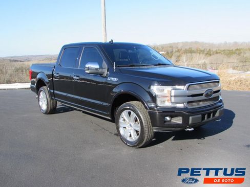 Used 2019 Ford F150 Platinum w/ Equipment Group 701A Luxury image 1