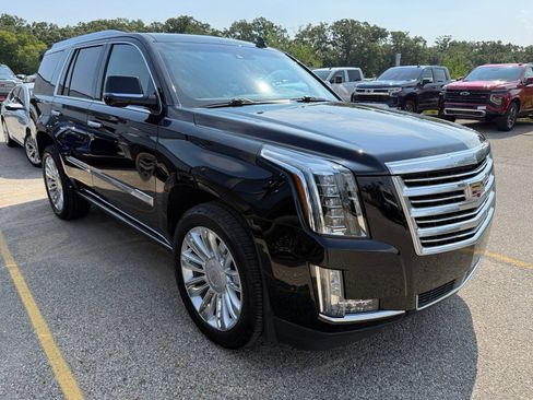 Used 2019 Cadillac Escalade Platinum AWD/4WD image 1