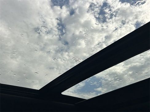 New 2025 Ford F350 Platinum w/ Tremor Off-Road Package image 39