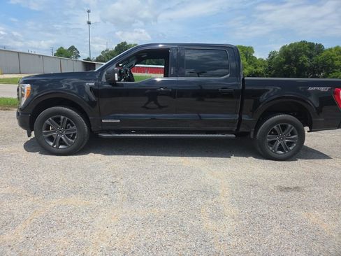 Used 2023 Ford F150 XLT w/ Equipment Group 302A High AWD/4WD image 4