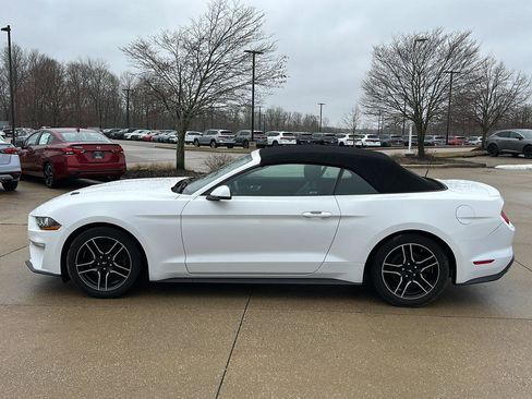 Used 2020 Ford Mustang Premium image 8