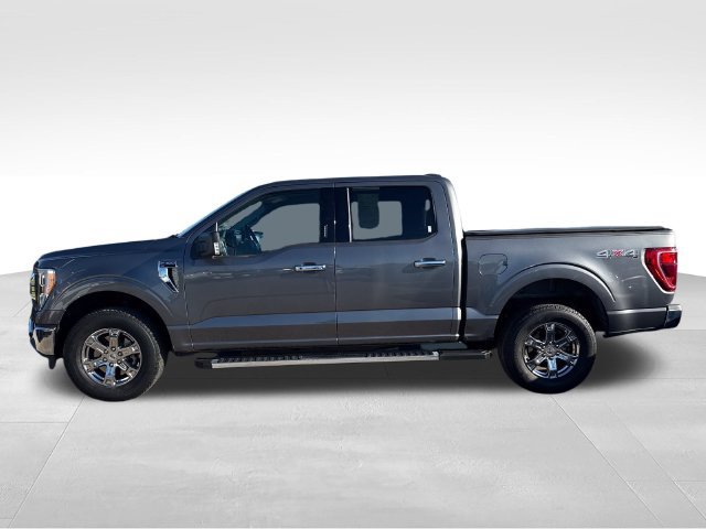 Used 2023 Ford F150 XLT w/ Equipment Group 302A High AWD/4WD image 2