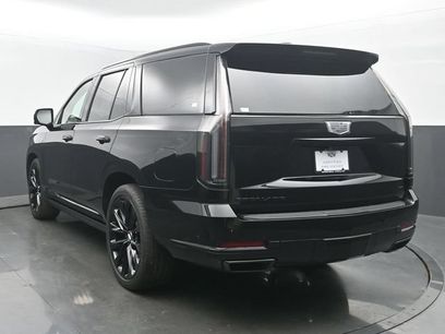 Certified 2026 Cadillac Escalade Platinum Sport w/ LPO, ONYX Package