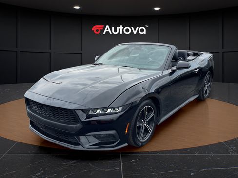 Used 2025 Ford Mustang Premium RWD image 1