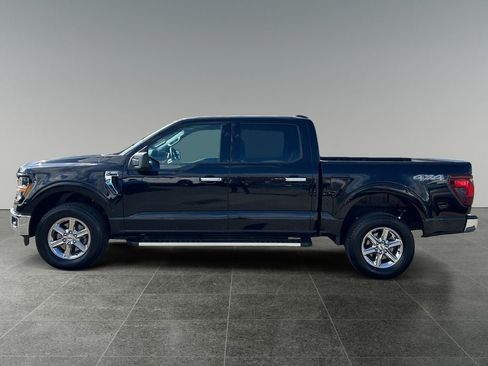 Used 2025 Ford F150 XLT w/ Equipment Group 301A Standard AWD/4WD image 5