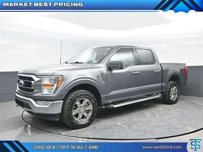 Used 2023 Ford F150 XLT w/ Equipment Group 301A Mid