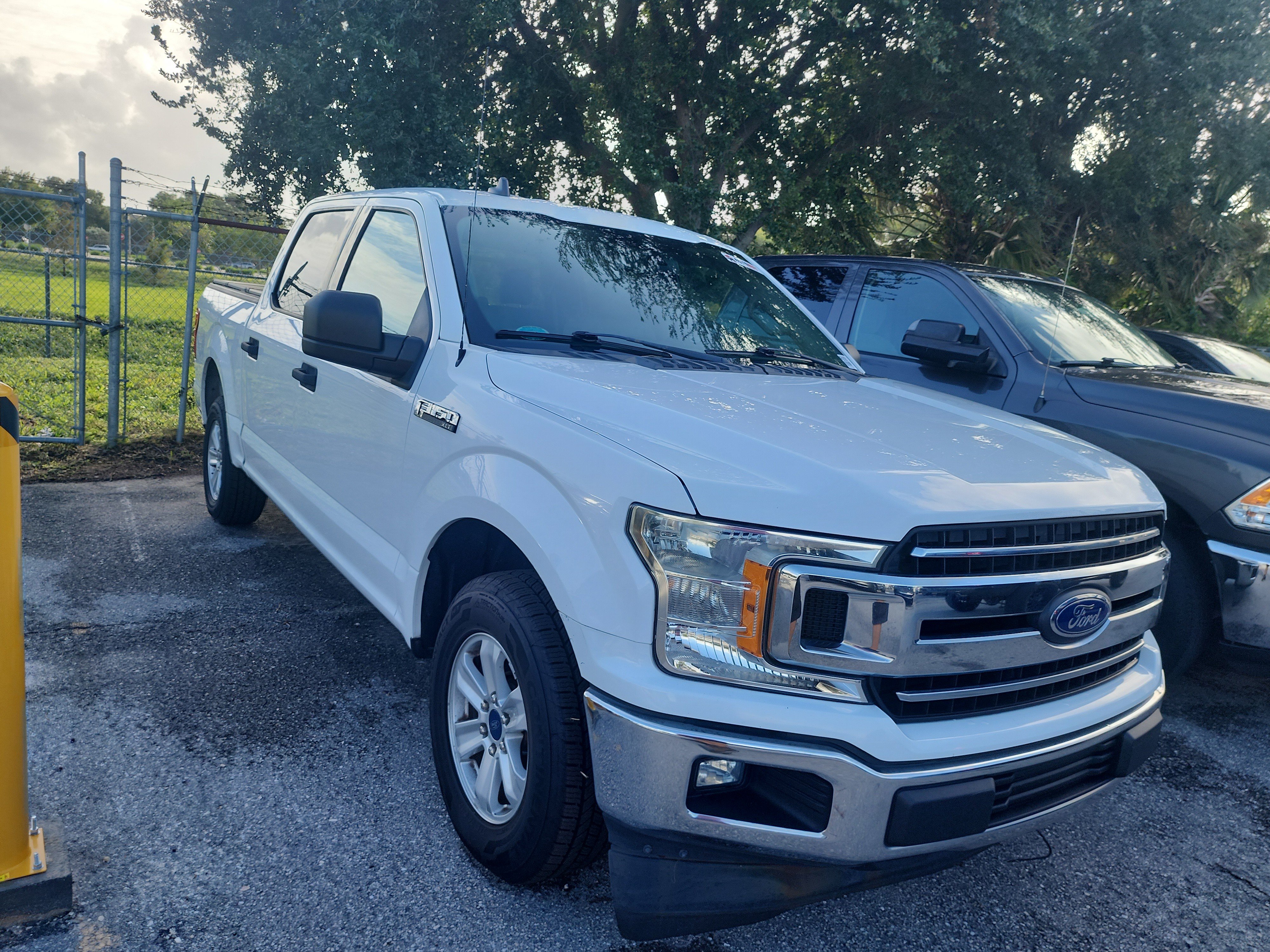Used 2019 Ford F150 XLT RWD image 3