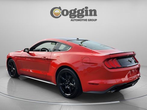 Used 2019 Ford Mustang Coupe w/ Equipment Group 101A image 3