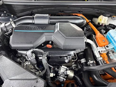 Used 2024 Kia Sportage X-Line image 36