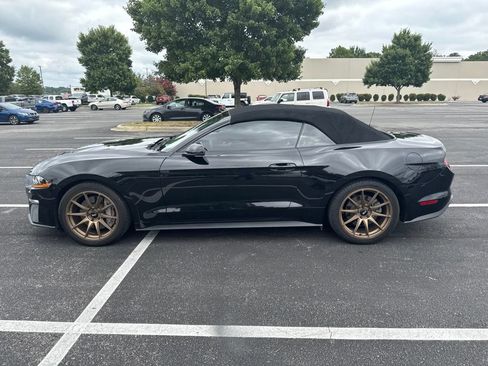 Used 2019 Ford Mustang Premium w/ Ecoboost Performance Package RWD image 12