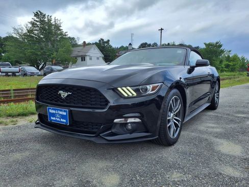 Used 2017 Ford Mustang Premium image 1