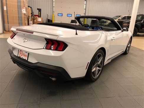 Used 2024 Ford Mustang Premium image 12