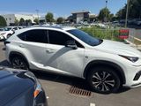 Used 2019 Lexus NX 300 F Sport w/ F Sport Comfort Package image 3