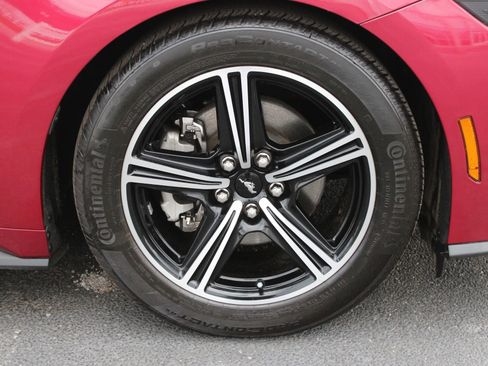 Used 2025 Ford Mustang Coupe image 12