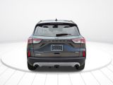 Used 2020 Ford Escape Titanium image 5