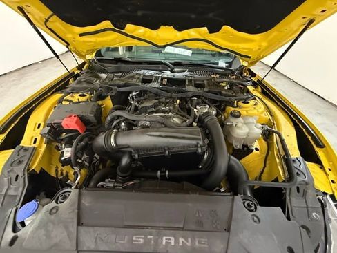 Used 2024 Ford Mustang Premium image 12