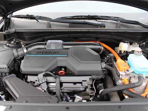 Used 2023 Kia Sportage X-Line image 11