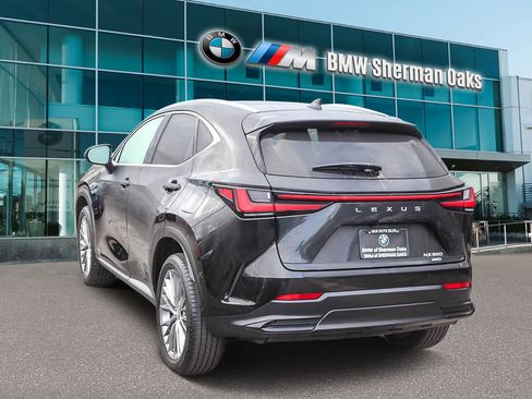 Used 2024 Lexus NX 350 Luxury image 6