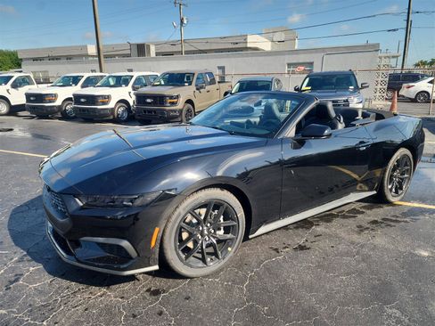 New 2025 Ford Mustang Convertible w/ Mustang Nite Pony Package image 25
