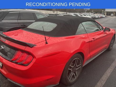 Used 2018 Ford Mustang Premium w/ Equipment Group 201A image 10
