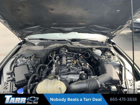 Used 2022 Ford Mustang Premium RWD image 18