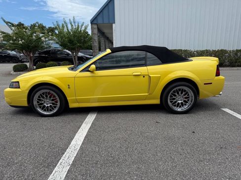 Used 2003 Ford Mustang Cobra RWD image 4