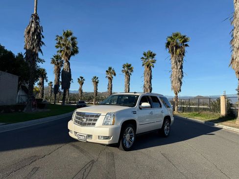 Used 2013 Cadillac Escalade Platinum image 1