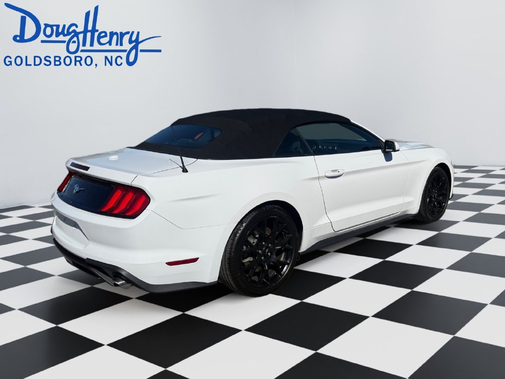 Used 2019 Ford Mustang Convertible w/ Ecoboost Performance Package RWD image 5