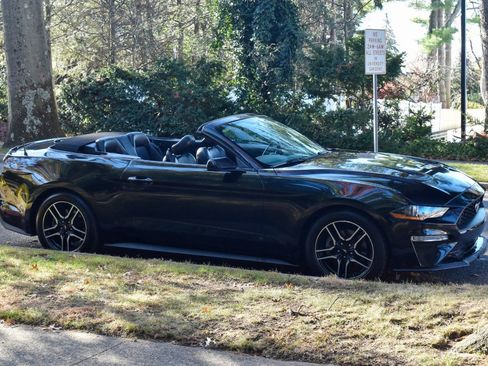 Used 2019 Ford Mustang Premium image 12