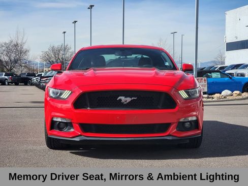 Used 2017 Ford Mustang GT Premium w/ Equipment Group 401A image 7