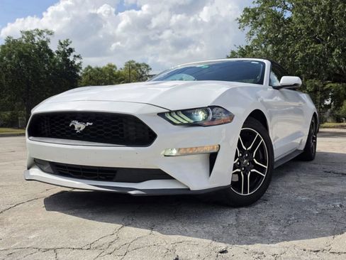 Used 2020 Ford Mustang Premium RWD image 3
