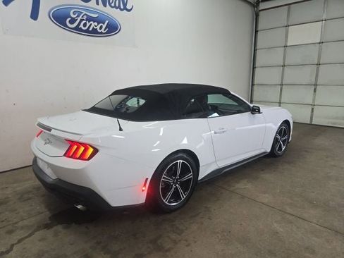Used 2025 Ford Mustang Premium image 8