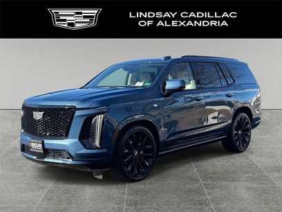 Used 2026 Cadillac Escalade Platinum Sport w/ LPO, ONYX Package