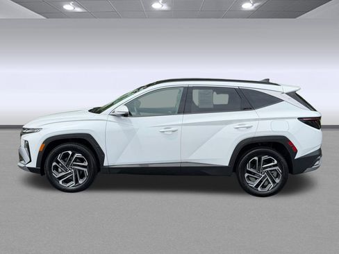 Used 2025 Hyundai Tucson Limited AWD/4WD image 2