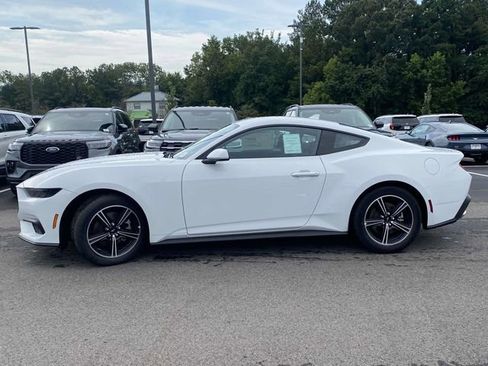 New 2025 Ford Mustang Coupe image 7