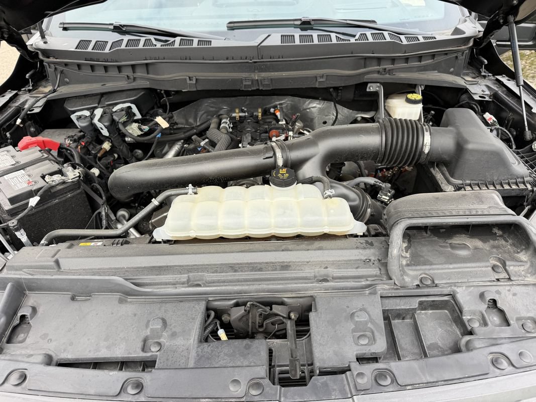 Used 2024 Ford F150 Tremor w/ Equipment Group 402A High AWD/4WD image 14