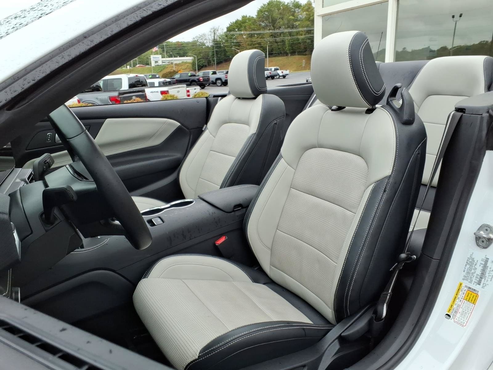 Used 2025 Ford Mustang Premium RWD image 12