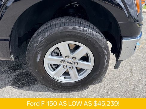 Used 2025 Ford F150 XL w/ Equipment Group 103A High AWD/4WD image 32