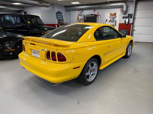 Used 1998 Ford Mustang Cobra RWD image 6