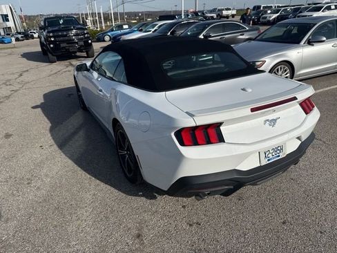 Used 2024 Ford Mustang Premium image 6