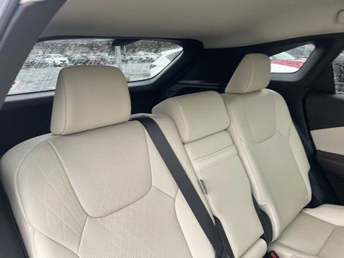 Used 2023 Lexus RX 350 Premium Plus w/ Cold Area Package image 6
