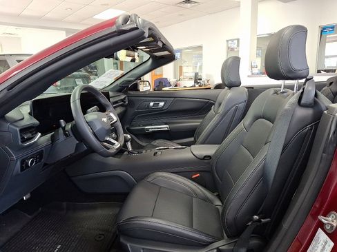 Certified 2025 Ford Mustang Premium w/ Mustang Nite Pony Package image 17