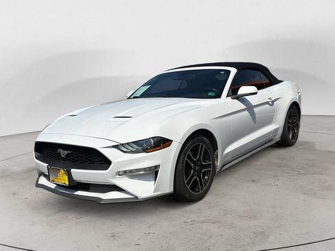 Used 2019 Ford Mustang Premium RWD image 7