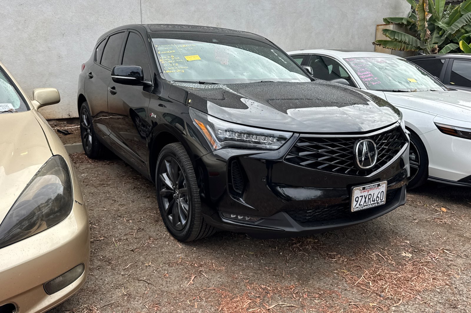 Used 2026 Acura RDX w/ Advance Package AWD/4WD image 2