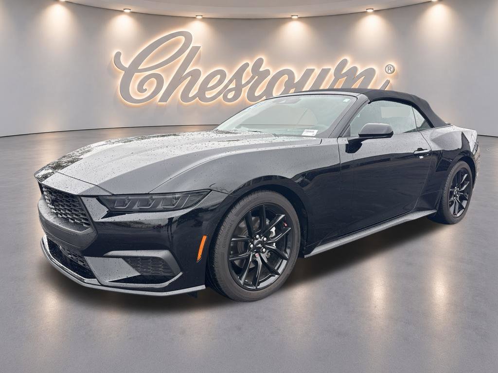 Used 2025 Ford Mustang Convertible w/ Mustang Nite Pony Package RWD image 1
