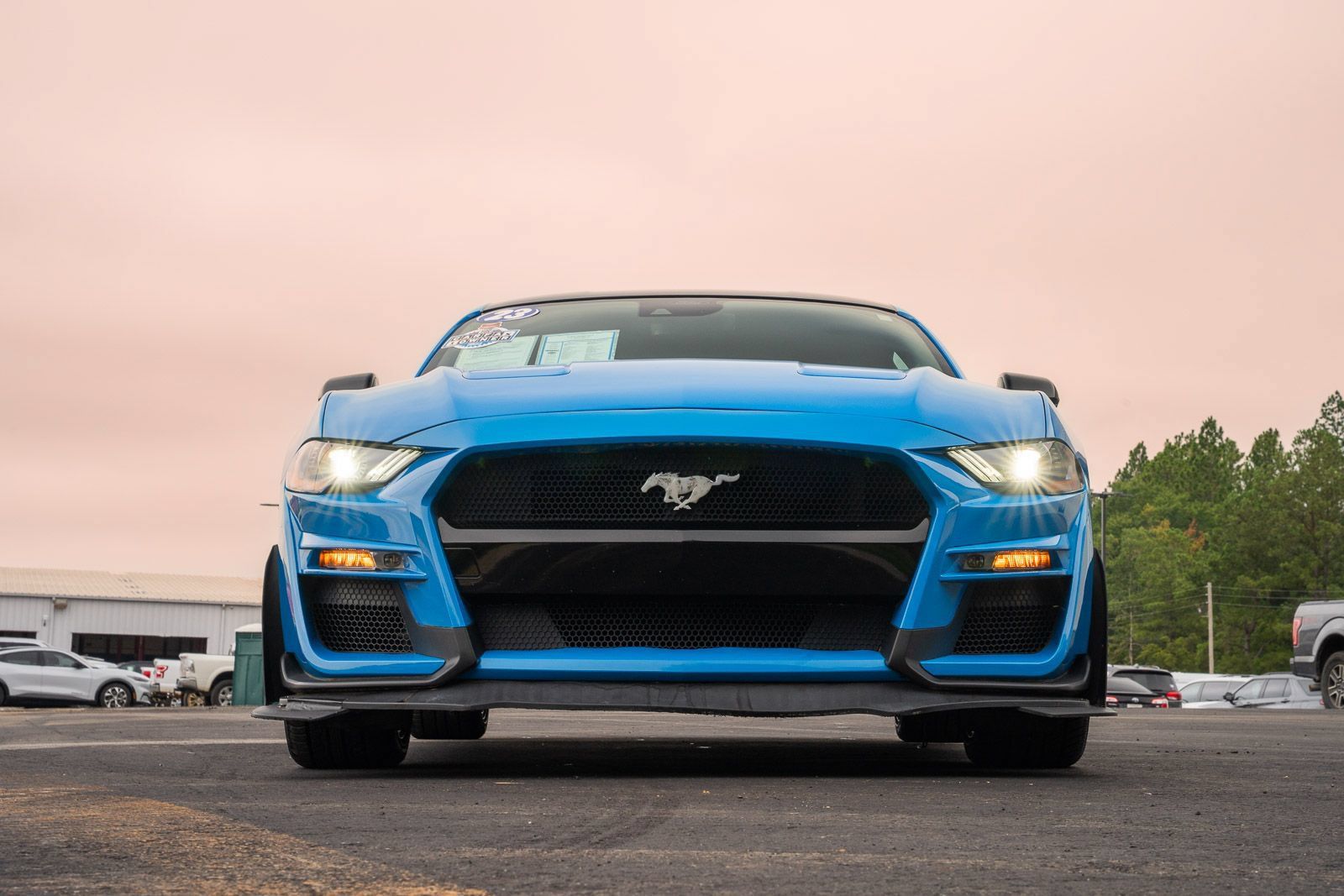 Used 2023 Ford Mustang GT Premium w/ Mustang Nite Pony Package RWD image 2