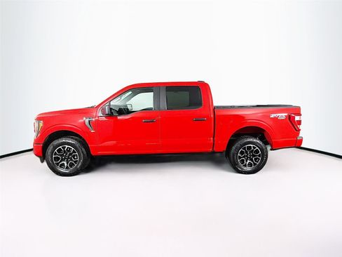 Used 2023 Ford F150 XL w/ STX Appearance Package image 4