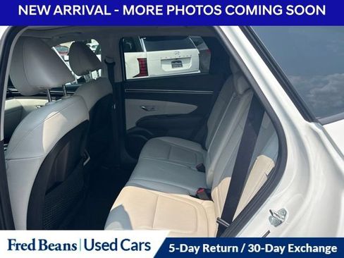 Used 2024 Hyundai Tucson Limited AWD/4WD image 9